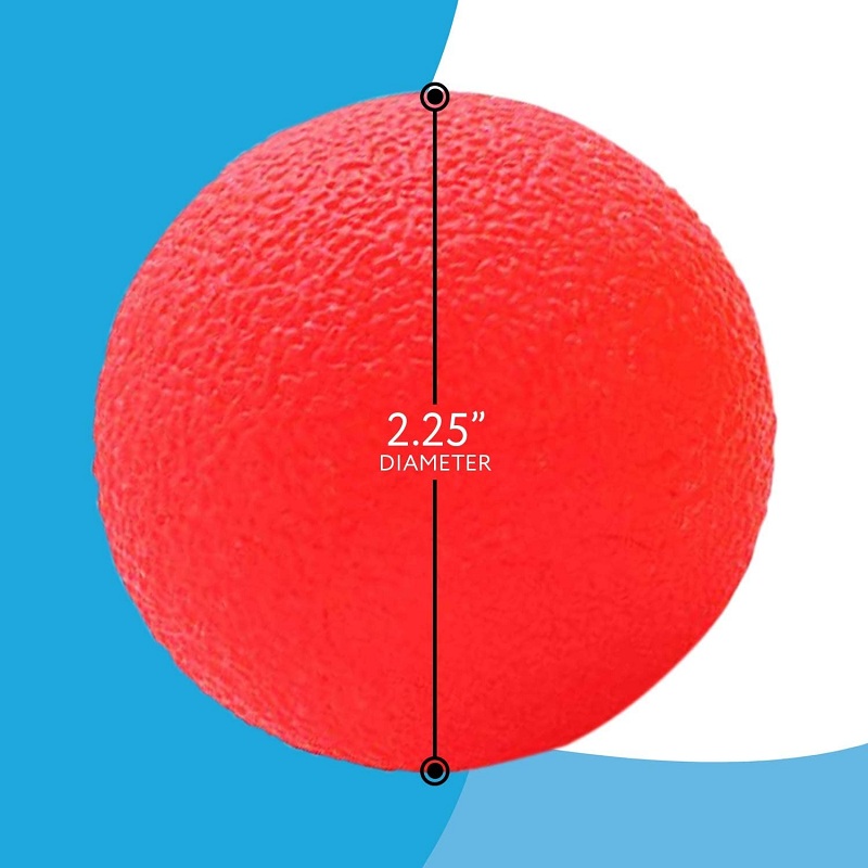 Poignée en forme d'œuf, balle  - Home Gym Studio avis et prix